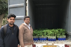 12c.-Packed-for-Krishimela